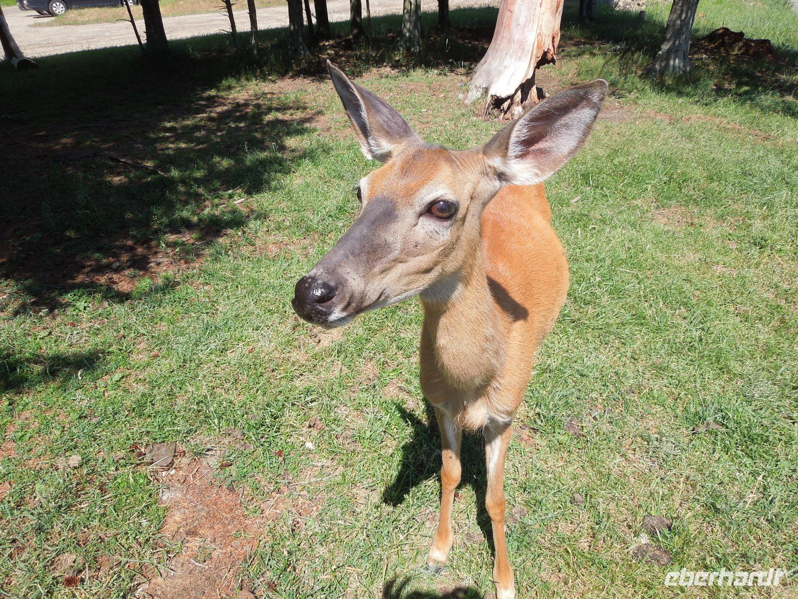 113 Omega Wildlife Park