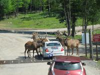 114 Omega Wildlife Park