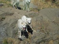 116 Omega Wildlife Park