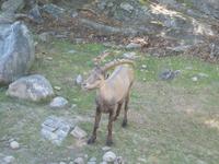 117 Omega Wildlife Park