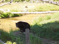 119 Omega Wildlife Park