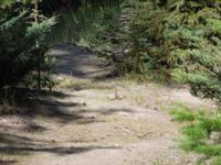 271 Streifenhörnchen