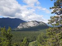 274 Schlafender Büffel