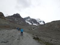 340 Columbia Icefield Athabasca Gletscher