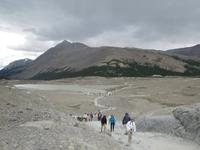 341 Columbia Icefield Athabasca Gletscher