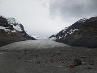 342 Columbia Icefield Athabasca Gletscher