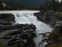 343 Athabasca Wasserfälle