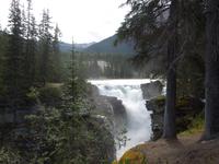 347 Athabasca Wasserfälle