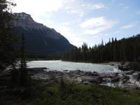 348 Athabasca Wasserfälle