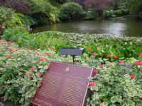 430 Butchart Gardens