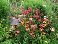 435 Butchart Gardens