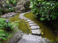 442 Butchart Gardens