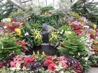 446 Butchart Gardens