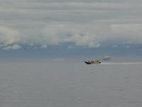 Wahlbeobachtung auf Zodiak