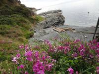 kleiner Strand bei Victoria