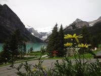 Lake Louise ausser Focus