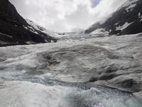 Der Athabasca Gletscher