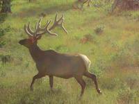 Ei, das ist aber schwer....