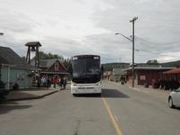 Ein Moose sitzt im Bus