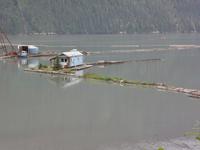 Die Meeresbucht bei Stewart