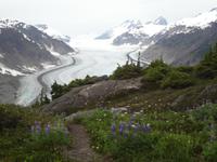 Spazierweg bei Salmon Glacier
