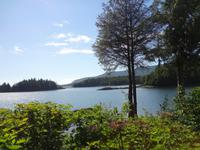 am pazifischen Ozean angekommen. 