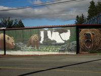 hier sehen wir gemalte Grizzli