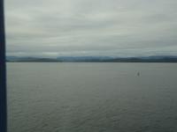 und hier die Fueckenflosse