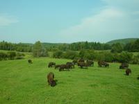 zu Besuch im Omega-Park