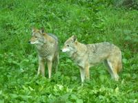 zu Besuch im Omega-Park