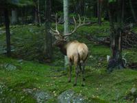 zu Besuch im Omega-Park