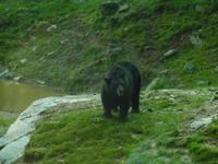 zu Besuch im Omega-Park