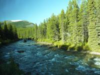 Im Jasper Nationalpark