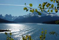 Maligne Lake
