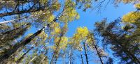 124  Wanderung am Lac Taureau
