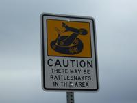 Achtung! Klapperschlangen.