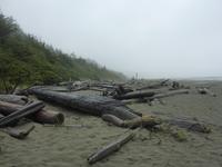 Long Beach, Vancouver Island
