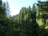 Im Capilano Suspension Bridge Park