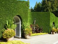 Butcharts Garden