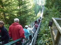 Capilano Suspension Bridge