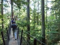 Im Capilano Suspension Bridge Park