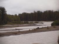 Zugfahrt mit dem Denali Star