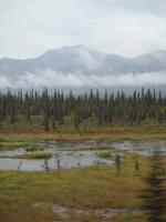 Zugfahrt mit dem Denali Star