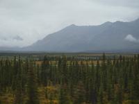 Zugfahrt mit dem Denali Star