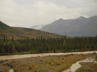 Zugfahrt mit dem Denali Star