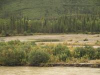 Zugfahrt mit dem Denali Star