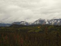 Zugfahrt mit dem Denali Star