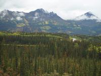 Zugfahrt mit dem Denali Star