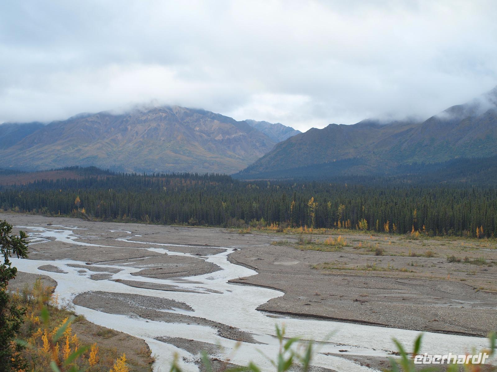 Tagestour in den Denali-Nationalpark