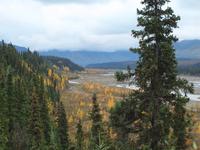 Tagestour in den Denali-Nationalpark